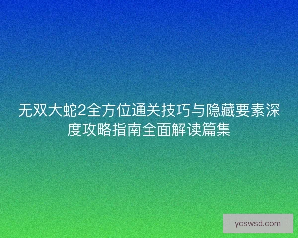 无双大蛇2全方位通关技巧与隐藏要素深度攻略指南全面解读篇集